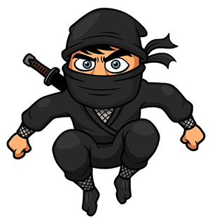 ninja
